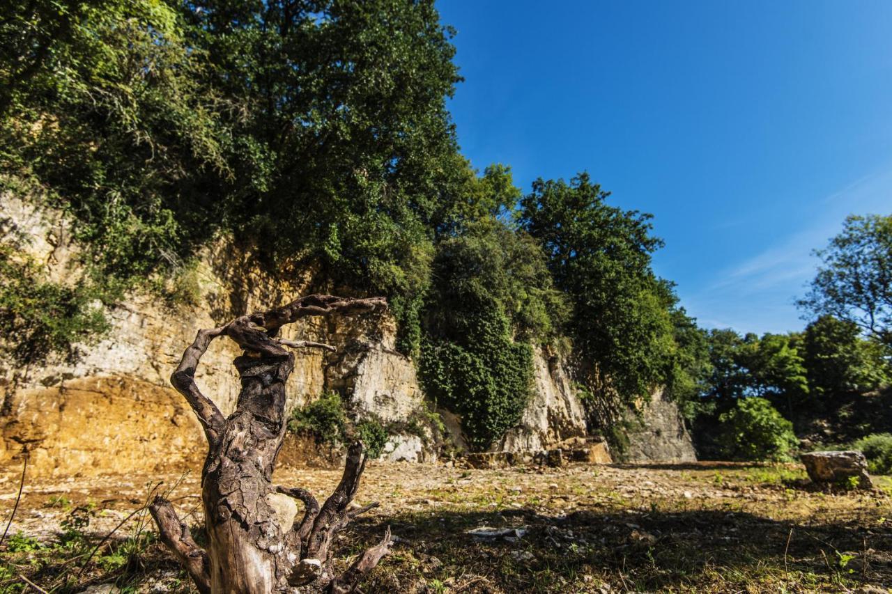 Le Domaine Des Carriers - Gites Chevroches Esterno foto